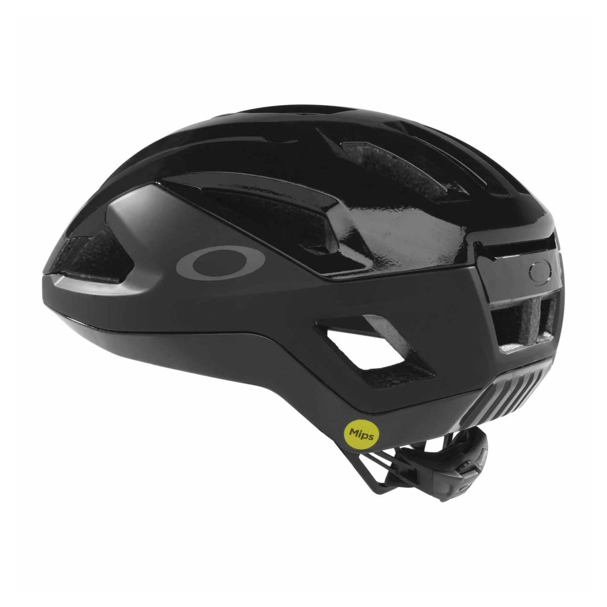 Oakley ARO3 Endurance Mips Helm Polished/Matte Black Reflective